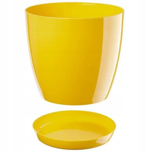 B2C Plant Pot Flower 20 Colours 9 sizes Gloss Plastic Plant Pots Planter Saucer Tray Deco (14 cm/ 5.5 inch, Yellow)