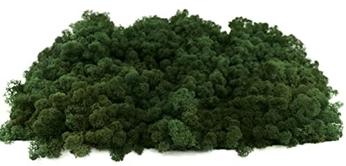 INMO Moos - Islandmoos echtes Natur Moos konserviert 4 KG Dunkelgrün. Dekomoos zum Basteln, Moosbild, Wand-Bilder, Wanddeko, Modellbau weitere Farben und Mengen zur Auswahl 40g - 500g 1 KG - 4 KG