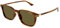 Montblanc Herren Mb0338s Sonnenbrille, Braun/Braun/Braun