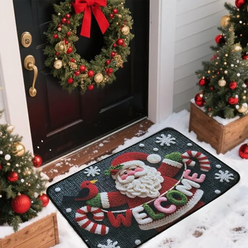 BSITSSS Fußmatte Weihnachten Weihnachtsmann, Vögel Weihnachts Fußmatte, Türmatte Weihnachten, WeihnachtsFussmatte 40 x 60 cm, Weihnachtsfußmatten für Eingangsbereich, Schlafzimmer, Arbeitszimmer
