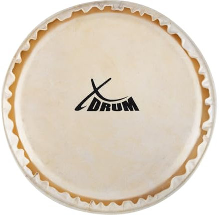XDrum Bongo Fell 6,5 - Natur-Fell für Bongo-Trommel - Durchmesser: 6,5 Zoll (ca. 165 mm) - Natur