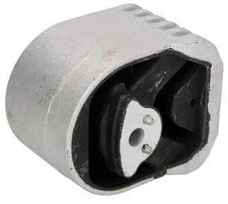 DELPHI TEM180 Motorlager Vorne Kompatibel mit MERCEDES-BENZ A-Klasse W169 1692400717 1692401417 A1692400717