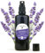 NeoOrganic® BIO Lavendelspray Schlaf Gut [mit Bio Lavendel Öl] Lavandula Angustifolia – Qualitäts Lavendel Spray – beruhigend und entspannend – fürs Kopfkissen, als Einschlafspray oder Kissenspray