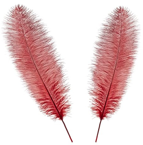 WedDecor Large Real Ostrich Feathers 50–60cm – Red Natural Plumes for Table Centerpieces, Dressmaking, Fashion Accessories, Hats, DIY Crafts & Wedding Decoration, 10pcs | 50-60cm Long Feather for Wedding Centerpieces, Home, Decorating Costumes, Embellishment, Art & Craft, Parties