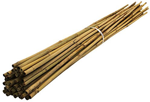 Bamboo Canes For Gardens/Plant Support | Multiple Lengths & Pack Sizes: 3ft to 12ft | Supplied by Suregreen (10, 45cm / 6-8mm)