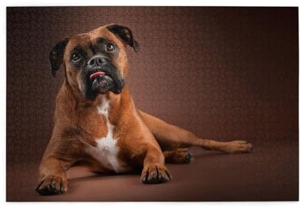 Cool Lying Boxer Dog, Jigsaw Puzzles 1000 Pieces Wooden Jigsaw Toy Family Game Wall Decor