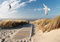 decomonkey Fototapete Meer Vögel 300x210 cm Tapete Fototapeten Vlies Tapeten Vliestapete Wandtapete moderne Wand Wandbild Schlafzimmer Wohnzimmer Landschaften Strand Möwe