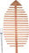 dobar® 58211e Design Rankhilfe Blattform Fagus | Rankgitter Massivholz | XXL-Rankgerüst | Dekorativer Sichtschutz | Rankgerüst Kletterpflanzen | Ranknetz Balkon/Terrasse | 84 x 6,5 x 160 cm | Natur