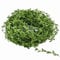 77 Metres Artificial Leaves Box Garland Craft Cord Decorative Cord Garland Leaf Ribbon Ivy Garland Photo Rope Wall Decoration for Wedding Christening Communion Party Decoration DIY Headbands