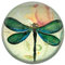 Value Arts Green Dragonfly & French Script Glass Dome Paperweight, 3 Diameter