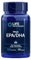Life Extension - Mega EPA/DHA | Hochdosierte Omega-3-Fettsäuren zur Unterstützung der Herz-Kreislauf-Gesundheit und Gehirnfunktion - 120 Softgels
