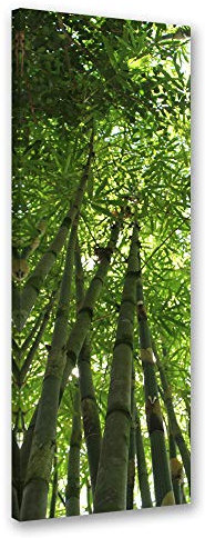 Feeby Impression sur Toile Intissee Nature Tropicale 40x100 cm Tableau Moderne Tableau Photo Chambre à Coucher Bambou De La Jungle vert