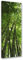 Feeby Impression sur Toile Intissee Nature Tropicale 40x100 cm Tableau Moderne Tableau Photo Chambre à Coucher Bambou De La Jungle vert