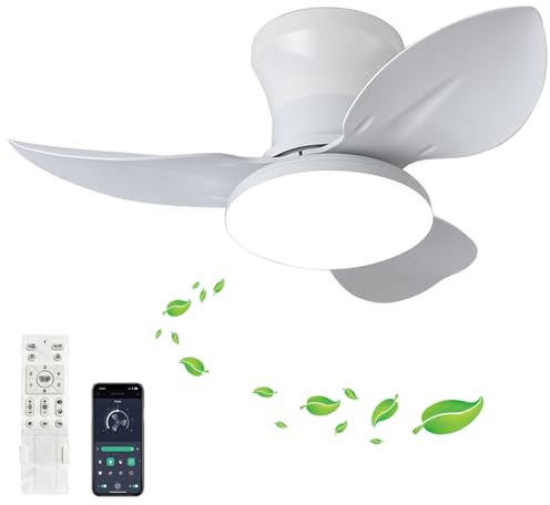 Fachae Pequeño Ventilador Techo Con Luz Y Mando A Distancia Mute Reversible 6 Velocidades Ceiling Fan With Light Temporizador Led Regulable Lámpara Ventilador Techo