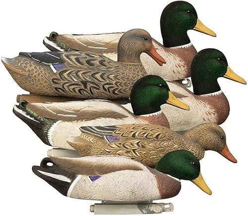 Enten-Köder für die Jagd, Stockenten-Köder, Lock-Enten für Teich und Feld, lebendige Gartendekoration, Lehrerhilfen, Jagdausrüstung, 6er-Pack