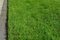 Grassamen Rasensamen Gerbrauchsrasen für Trockenlagen RSM 2.2.2, 5 kg für 125m²