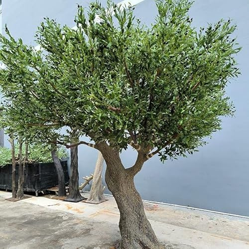 KIBONCY Albero Artificiale Finto ulivo olivoso Finto Seta Finta pianta di olivo pianta Finta Piante in Finto Ufficio casa Soggiorno Arredamento 2.5m