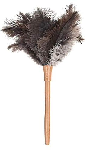 Flauschiger natürlicher Straußenfeder-Staubwedel mit Holzgriff, Haushaltsreinigungswerkzeug