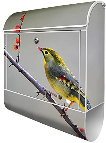 banjado® Design Briefkasten mit Motiv Herbst Vogel 39x47x14cm & 2 Schlüssel - Briefkasten Stahl weiß mit Zeitungsfach pulverbeschichtet - Postkasten A4 Einwurf inkl. Montagematerial