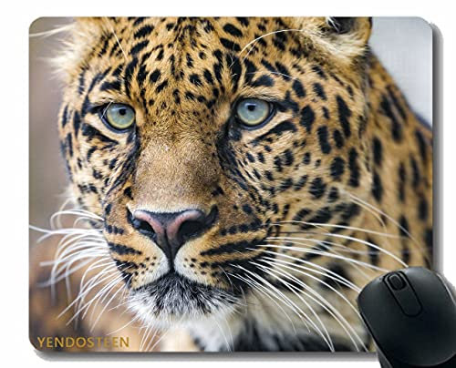 YENDOSTEEN Non-Slip Rubber Gaming Mouse Pad,Leopard Spotted Grass Lie Down Big Cat 59907 Non-Slip Rubber Base Mousepad