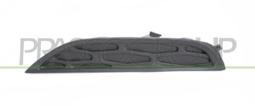 Bumper grille lower right