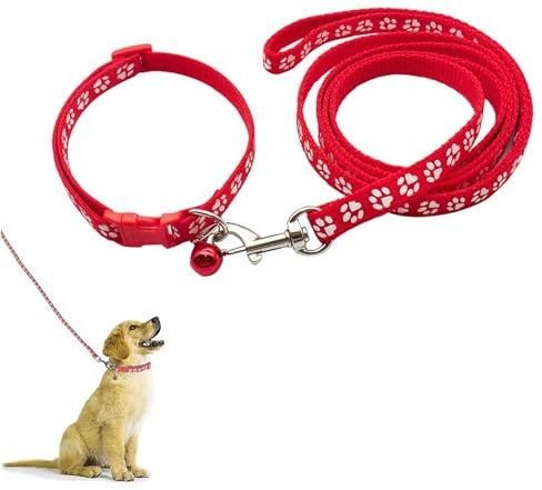 Ensemble Collier Et Laisse pour Petit Chien, Collier pour Chien Et Laisse, Colliers Et Laisse Réglables, Pet Collier Et Laisse, pour Petits Chiens, Chats