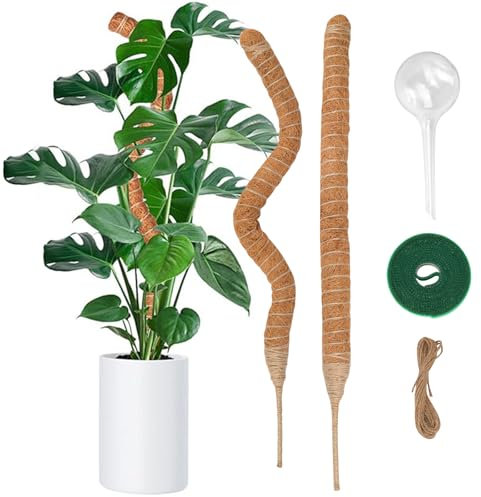 2 Stück Moosstab für Monstera, 60cm Monstera Rankhilfe mit Pflanzen Zubehör, Moosstab Monstera, Handgefertigte Kokosstab Monstera Moss Pole für Indoor Pflanzen