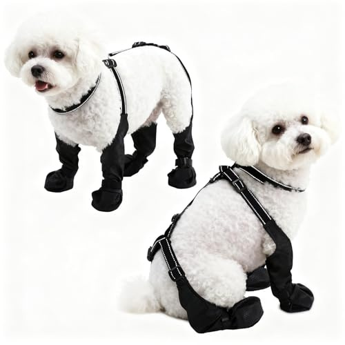 BECROWM wasserdichte Hundeschuhe für kleine/mittlere Hunde –Pawenschutz-Hundeschuhe,rutschfeste Winter-Wanderhundeschuhe, reflektierend Nicht abrutschbare,Hundebooties (Schwarz-UK, Mittel)