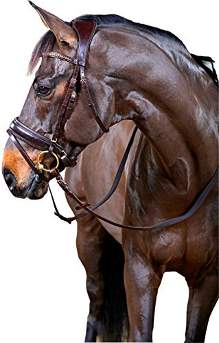 scan-horse ergonnomischer Trensenzaum braun WB