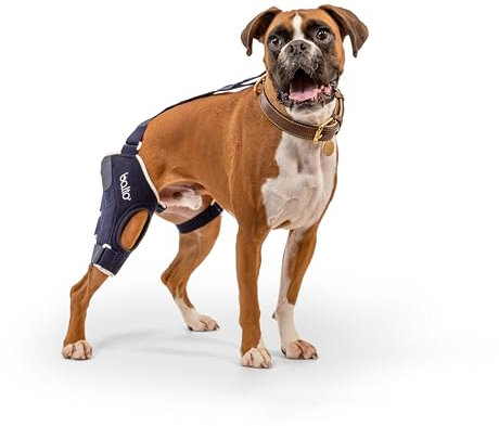 Balto Jump Dog Kniebandage – Orthopädische ACL/CCL-Unterstützung für mittelgroße Hunde – verstellbarer Beinstabilisator für Gelenkschmerzen, Erholung von Verletzungen & Arthritis, Tierärztlich