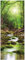 Wallario selbstklebendes Poster - Fluss im Wald, Aufkleber in Premiumqualität, Klebefolie Größe: 50 x 125 cm