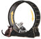 WUDLEP Katzen-Laufrad für Indoor-Katze, 101,6 cm großes Katzenlaufrad mit Teppichlaufbahn, Katzenlaufband für längere Lebensdauer, Katzenrad für Fitness-Gewichtsverlust-Gerät, Schwarz