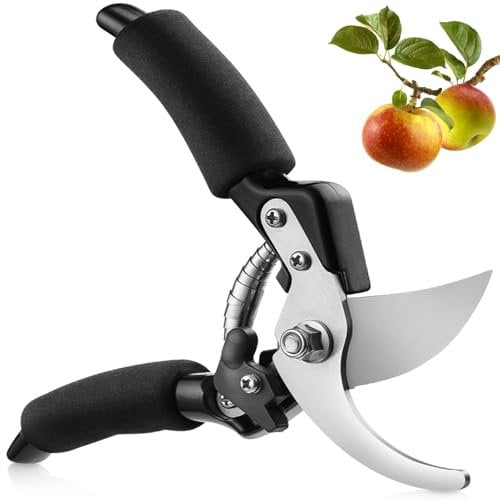 Professionelle Titan Gartenschere, Gartenschere, Gartenschere, Bypass-Schere, Gartenschere für Äste, Hecken und Blumen (schwarz)