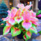 Hosta Pflanze Funkien Pflanze Winterhart Hosta zwiebeln Winterhart Mehrjährig Gartenblumen-4zwiebeln-h