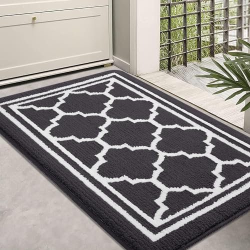 Homaxy Washable Door Mats Indoor, Dirt Trapper Mat Absorbent Non-Slip Low Profile Doormat for Entrance, Inside, Kitchen, Front Back Door, Pets and Dogs— 50 x 80 cm, Dark Grey