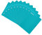 LOT DE 10 Cahiers 90 gm agrafé couverture Poly 24x32 grands carreaux (seyes) 48 ou 96 pages assorties : Des cahiers pratiques et colorés pour une organisation optimale (48 pages, Bleu sarcelle)