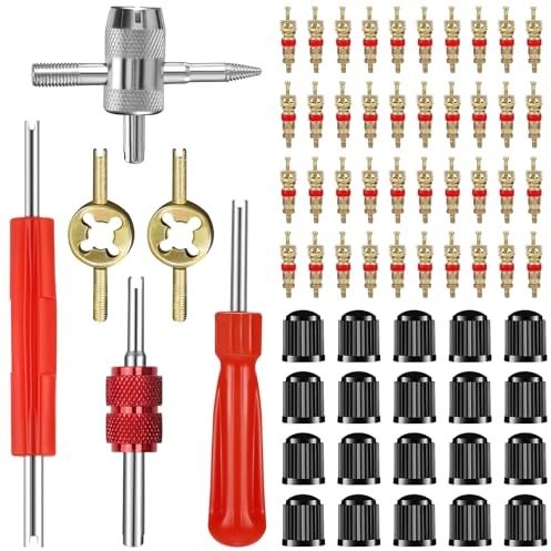 HOWAB Tyre Valve Removal Tool: 66PCS Valve Core Removal Tool Kit, Including Valve Core, Valve Cap, Metal Wrench, Dual & Single Head Valve Core Remover, 4-way Valve Tool for Bicycle Motorbike Auto