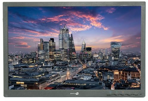 SIMPLETEK - 24 16:10 1920x1200 IPS Monitor | DisplayPort DVI VGA | 4x USB-Hub | OHNE BASE - VESA-Unterstützung | Kabel im Lieferumfang enthalten (überholt)