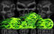 Fahne Flagge Pirat Hell of a Ride 90 x 150 cm Hissfahne Motorrad (grün) Fahnen