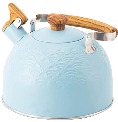 Pfeifenkessel, lautes Pfeifen, Teekanne, Herd, Teekessel, Heißwasserkessel, Schnellkochkessel, Teekanne, Induktions-Teekessel, Wasserkanne für Zuhause, Griff zum Zubereiten von Tee, Edelstahl, Gash