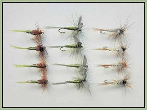 12 Pack Dry Trout Flies, Hatching Olive, Olive Dun, and Kites Imperial, Choice of sizes (Mixed)