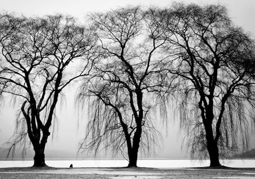 Modern Minimalist 3D Photo Wallpaper Black and White Ink Landscape Natural Landscape Tree Background Wall 200cmx140cm Living Room Kitchen Bedroom Wall Mural