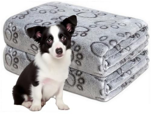 2 Pezzi Coperta Per Cani E Gatti In Flanella Antipelo, Ultra Morbida, Misure 60X40 cm, Coperta Cane E Gatto Calde E Lavabili, Ideali Per Tutte Le Stagioni