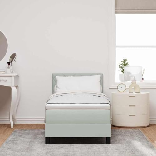 Qnhdfrt 80x200 cm Velvet Box Spring Bed with Mattress, Light Gray