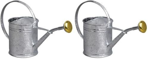 GUILLOUARD 80300 Petit Arrosoir Acier Galvanisé 1L, Gris (Lot de 2)