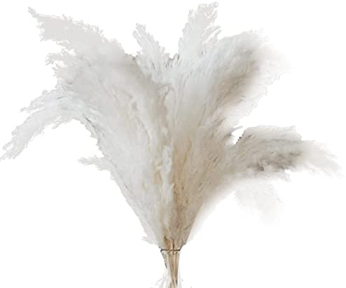 Kueohse Herbe de Pampa Blanche - 10 Tiges d'herbe de Pampa Moelleuse pour Mariage, Maison et DéCoration D'éVéNement - Herbe de Pampa SéChéE