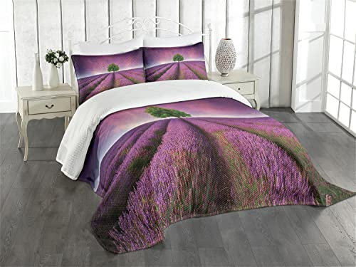 ABAKUHAUS einsamer Baum Tagesdecke Set, lila Feld, Set mit Kissenbezügen Maschienenwaschbar, für Doppelbetten 220 x 220 cm,Lila Grün