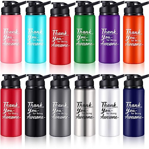 meekoo 12 Stück Wertschätzungsgeschenke Aluminium Bulk Wasserflaschen Thank You for Being Awesome Leichte Sportmitarbeiter Inspirierende Fahrrad-Wasserflasche mit Schnappdeckel für Reisen (bunt, 590