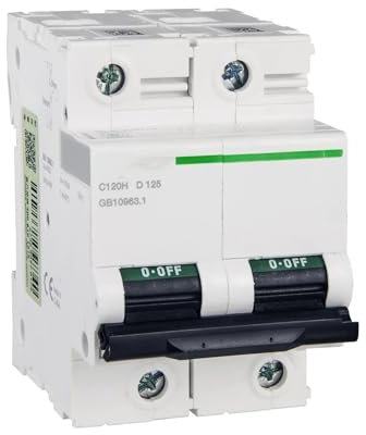 Mini disjoncteur à air comprimé C120H 2P D125A A9N19829 2P | 125A | D | 10KA