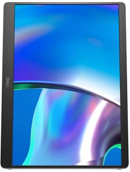 Dell Pro Plus P1425・LED-Monitor・35.57 cm (14) (210-BQTB)